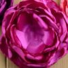 Flor Quemada - 17-Rose