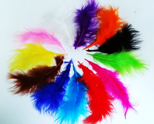 Plumas Marabu