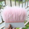 Plumas Ostrich - Baby pink