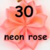 Margarita Grande - 30-Neon rose