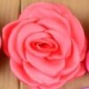 Rosa de Satín Pequeña - 9-Coral