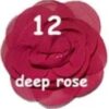 Rosette Mediana - 12-Deep rose