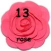Rosette Mediana - 13-Rose
