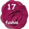 Rosette Mediana - 17-Fushia