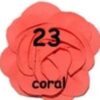 Rosette Mediana - 23-Coral