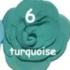 Rosette Mediana - 6-Turquoise