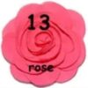 Rosette Mediana - 13-rose