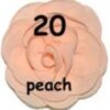 Rosette Mediana - 20-peach