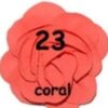 Rosette Mediana - 23-coral