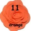 Rosette Mediana - 11-orange