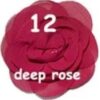 Rosette Mediana - 12-deep-rose