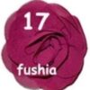 Rosette Mediana - 17-fushia