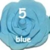 Rosette Mediana - 5-blue