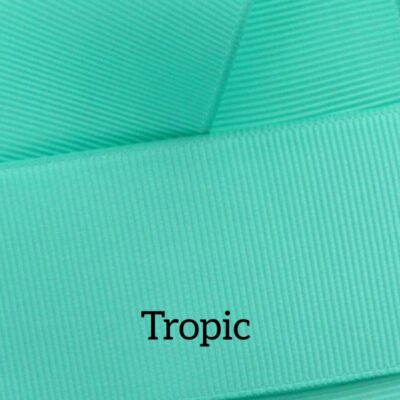 Cinta grosgrain lisa color tropic